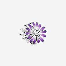 img.svg