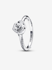 rose-in-bloom-uzuk
