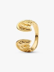 img.svg
