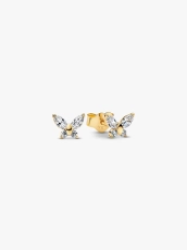 img.svg